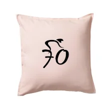 Cyklista slaví sedmdesátku (70)