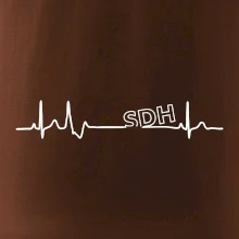 SDH EKG