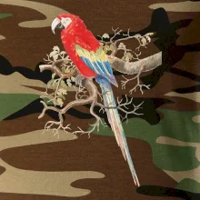 Papoušek na listnatém stromě