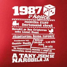 1987 v kostce