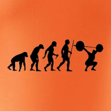 Evolution fitness