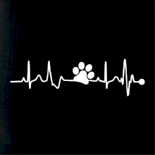 Ekg psí tlapka Ekg psí tlapka
