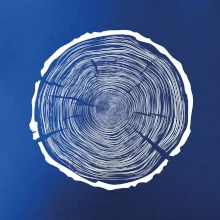 Letokruhy 100 bez věku