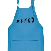 Evoluce volejbal culík