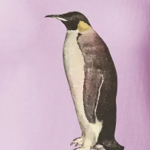 Tučňák kreslený vodovými barvami