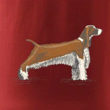 Vintage Springer spaniel