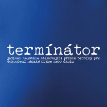 Čeština 2.0 - termínátor