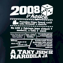 2008 v kostce