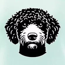 Lagotto romagnolo hlava na prsu