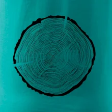 Letokruhy 55 bez věku