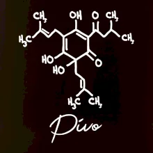 Barová chemie - pivo