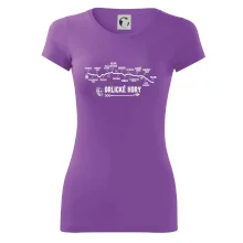 Profil Orlických hor