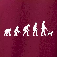 Lagotto romagnolo Evoluce