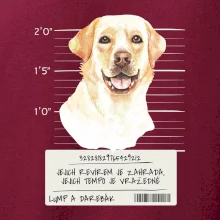 Lump a darebák labrador