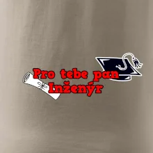 Pro tebe pan Inženýr