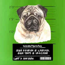 Lump a darebák mopsík