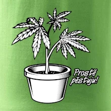Konopi prostě pěstuju