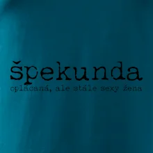 Čeština 2.0 - spalouch