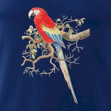 Papoušek na listnatém stromě