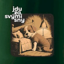 Jdu za svými sny Jdu za svými sny