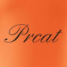 Prcat (souložit vulgárně)