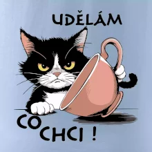 Kočka - udělám co chci