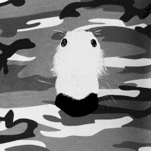 Barzoj čumák (Moňas)