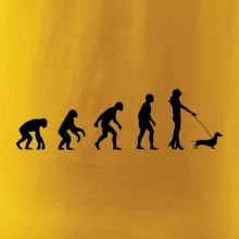 Jezevčík Evoluce žena