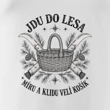 Jdu do lesa