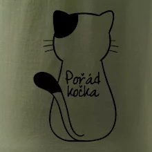 Pořád kočka