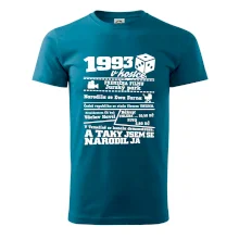 1993 v kostce