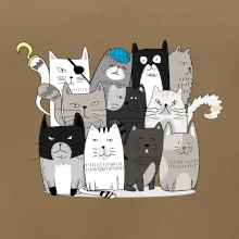 Kočky co nejsou tak úplně veselé