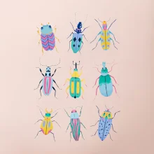 Barevní brouci (studio-arte.cz)