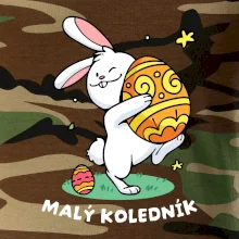 Malý koledník