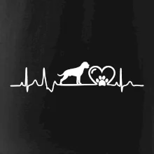 Německý boxer EKG