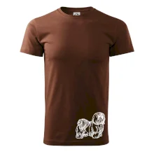 Shih-tzu - chlupatý