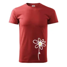 Kopretina - dole na výšku