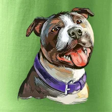 Americký stafordširský teriér  kreslený