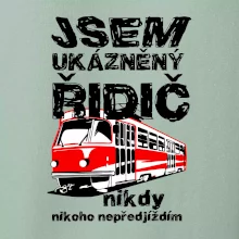 Jsem ukázněný řidič - tramvaj