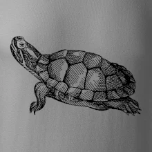 Tužkou kreslená želva