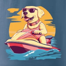 Zlatý retrívr na vodním skútru