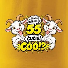 Těmhle holkám je 55, čučíš co?