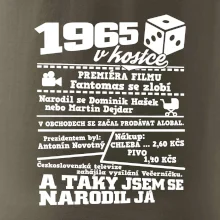 1965 v kostce