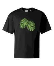 Monstera - dva listy