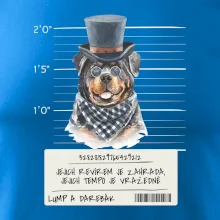 Lump a darebák rotvajler