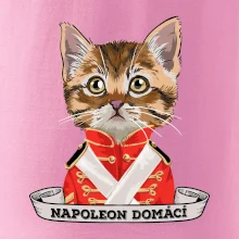 Napoleon domácí kočka