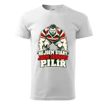 Nejsem starý, jsem zkušený pilíř