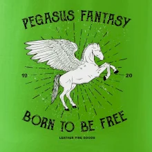 Pegasus fantasy