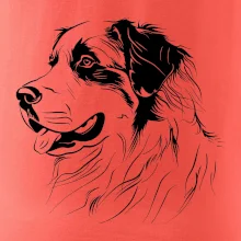 Bernský salašnický pes černá kresba