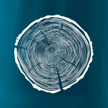 Letokruhy 95 bez věku